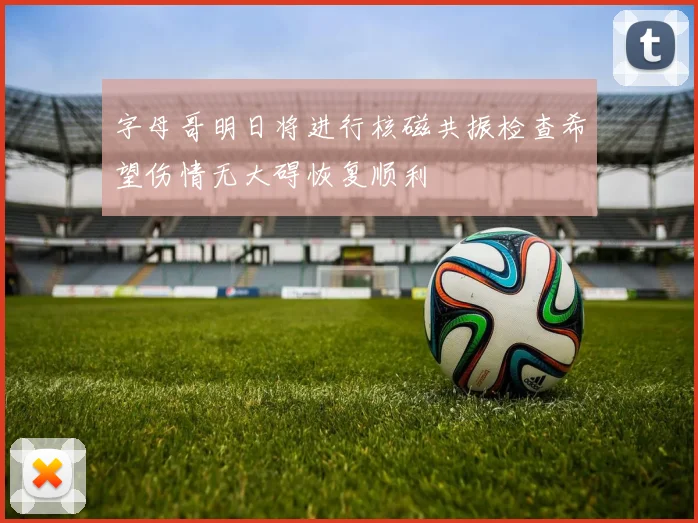 字母哥明日将进行核磁共振检查希望伤情无大碍恢复顺利